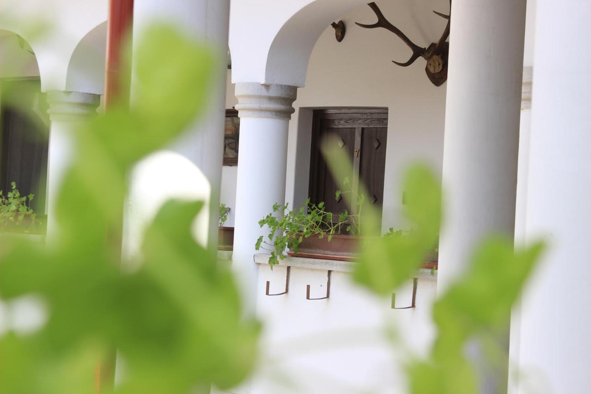 Eden Panzio Bed and Breakfast Έγκερ Εξωτερικό φωτογραφία